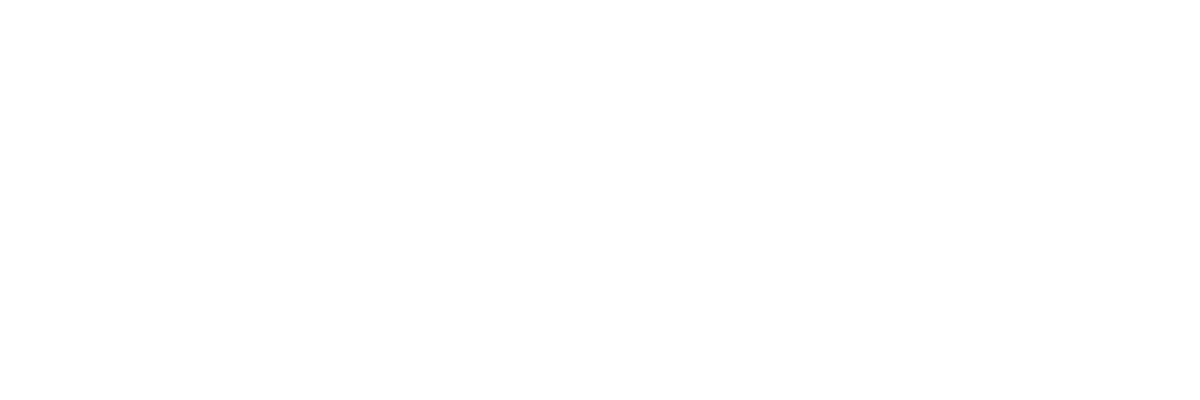 GZN – Goedbeheerd Zorg Netwerk (VZVZ). Een van de RAM zorgcertificaten.