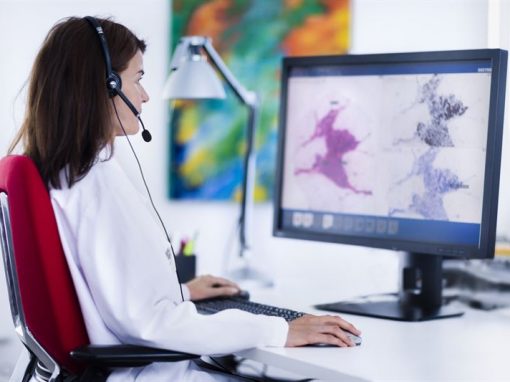 PALGA/Sectra: Uniek landelijk Pathology Image Exchange netwerk
