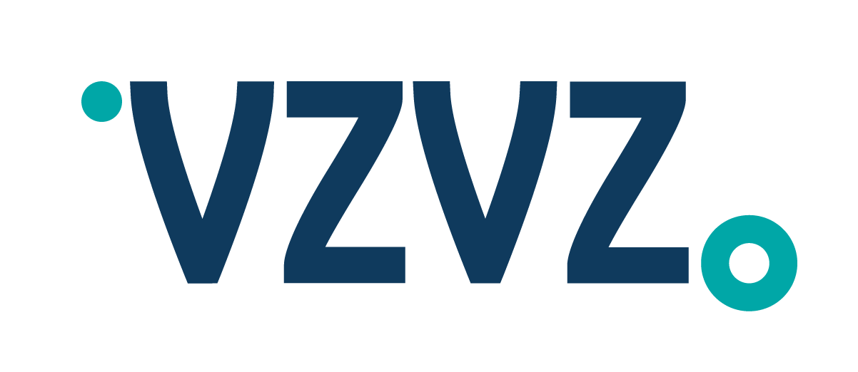 logo-vzvz vzvz gzn en gbz